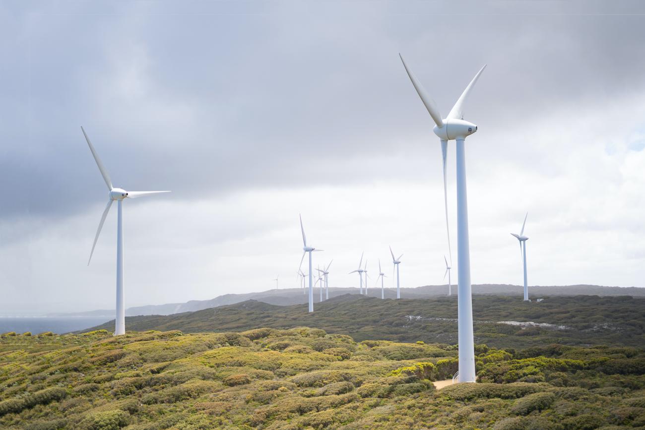 Multiple wind turbines in a green field