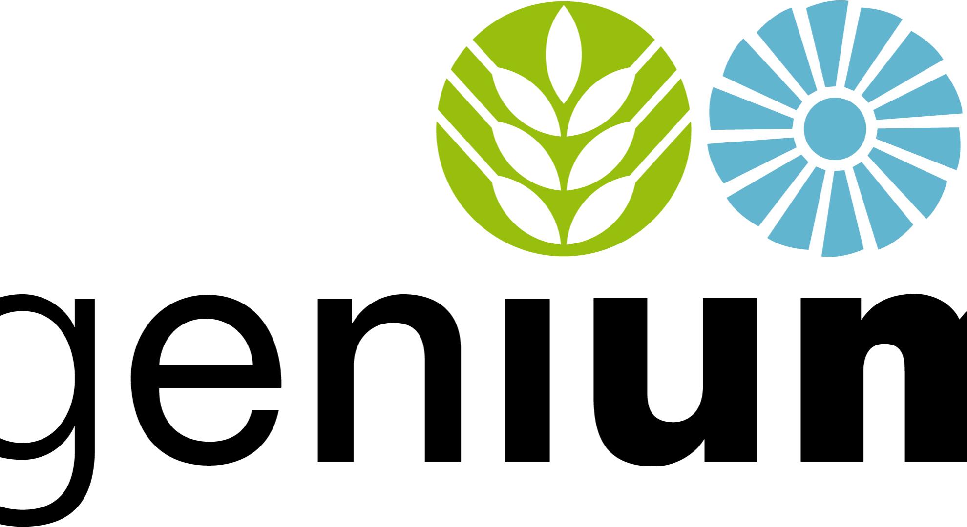 Ingenium logo