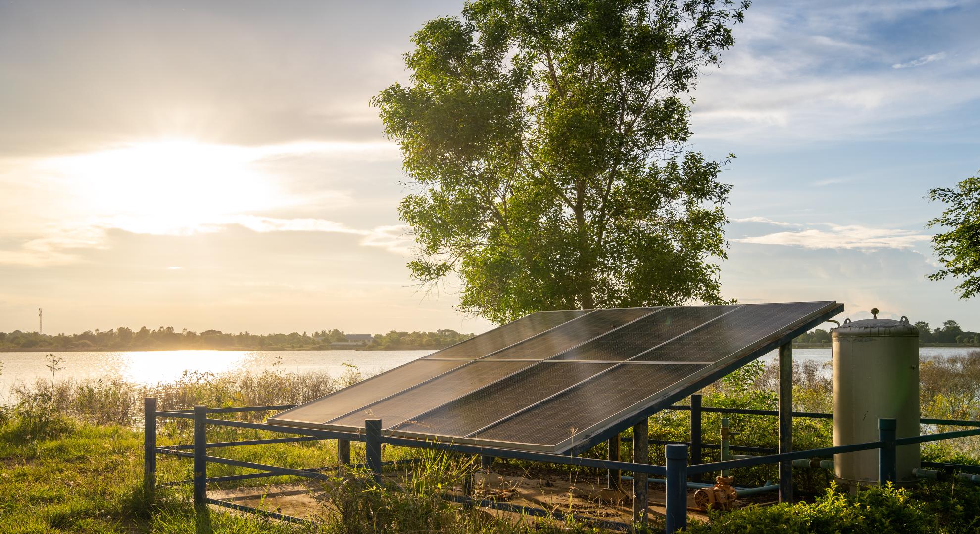 A grid of solar panels on grass, with the sun and water in the background