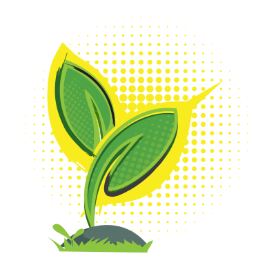 seedling